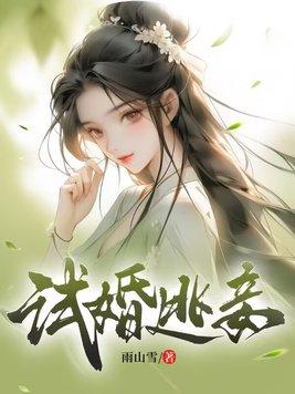 试婚夫妻【百年闪婚主题书】