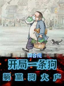 四合院开局坑了半根