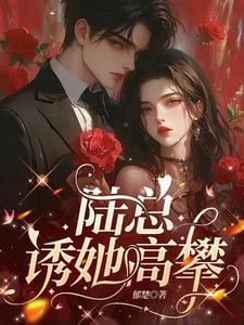 陆总他追妻火葬场