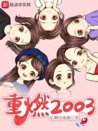 重燃2003TXT免费