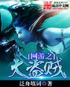 网游之大盗贼女主角是谁啊