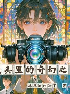 书名 镜头