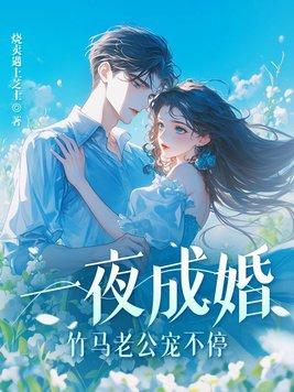 一夜成婚竹马老公宠不停免费阅读