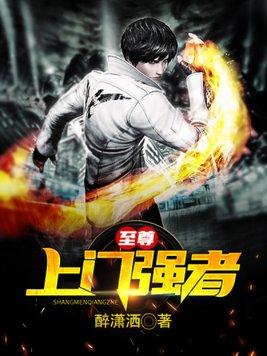 至尊强婿免费阅读全文完结版