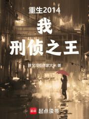 刑侦之王无错版