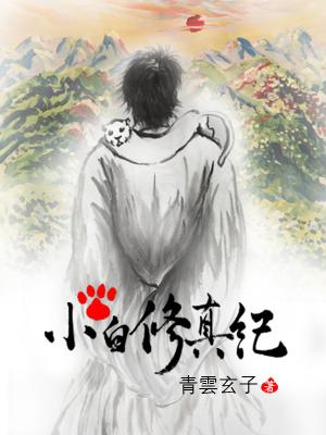 修真小白爽文