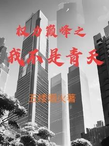 权力巅峰这部