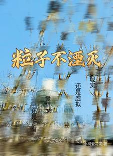粒子数不守恒