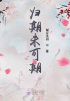 归期未有期歌词