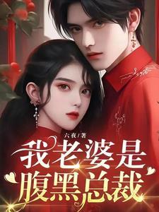 我的媳妇是总裁bl