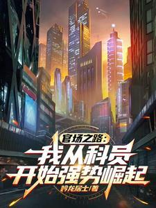 进入官场走向顶峰的