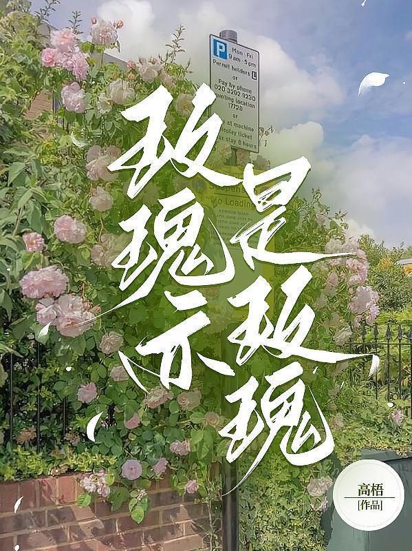 玫瑰玫瑰电视剧