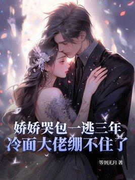 娇娇包全文免费阅读