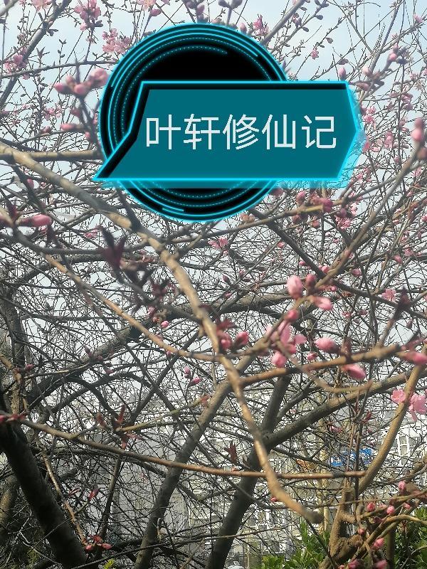 叶轩为主角的