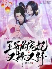 王爷宠妃优着点