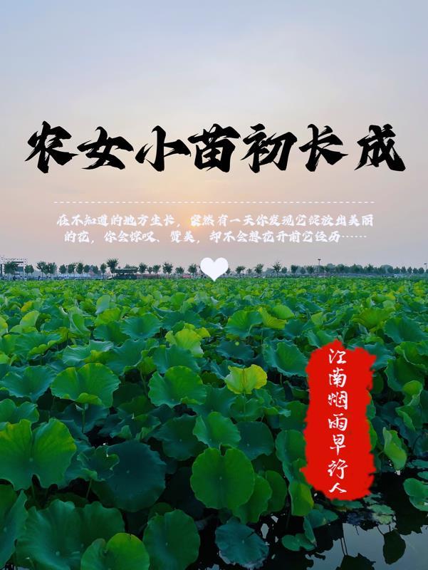 小农女的种田生活