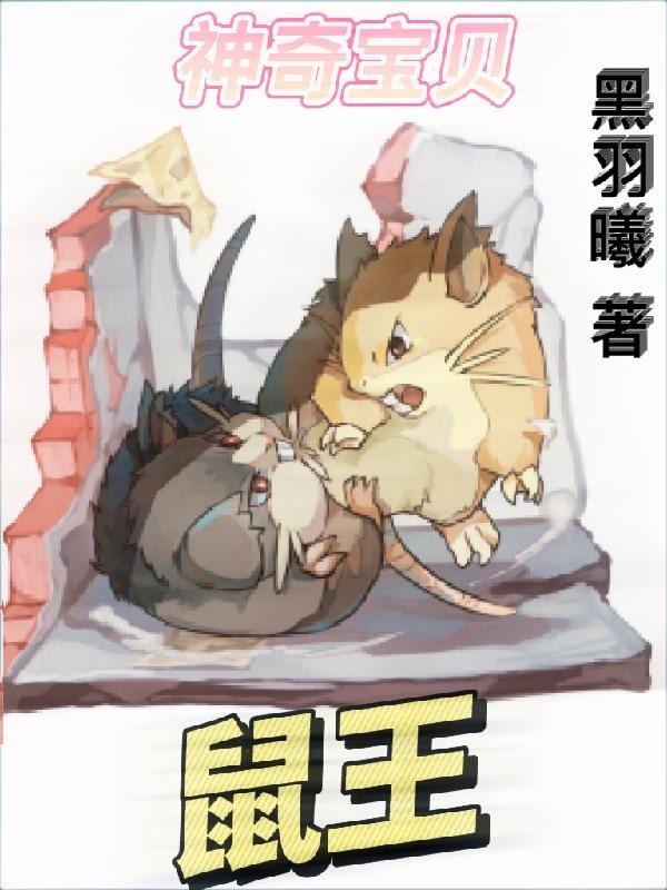 宝可梦鼠