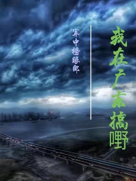 我在广东那些年txt