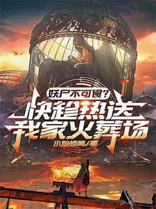 最后的十三城530