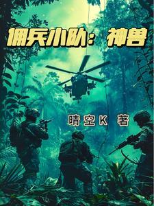 雇佣兵系列