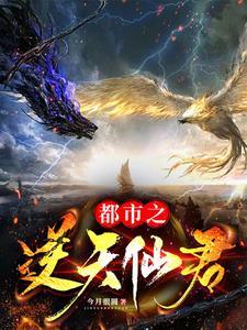 都市之逆天仙尊6