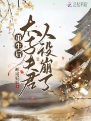 太子妃成了宠夫狂魔