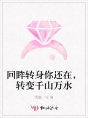 转身回眸的文案