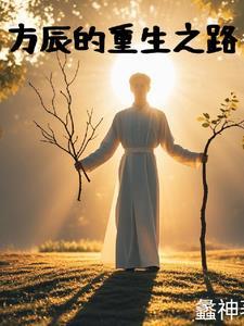 方辰的小主角