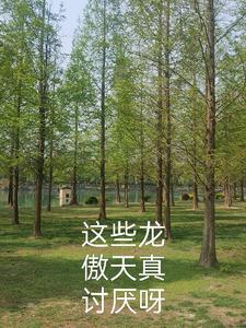 有龙傲天的叫什么