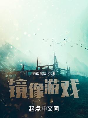 游戏镜像版什么意思