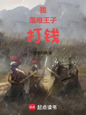 什么是落难王子