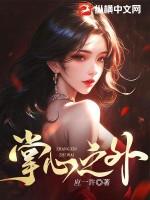 掌心之物讲的什么