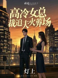 高冷总裁追妻路