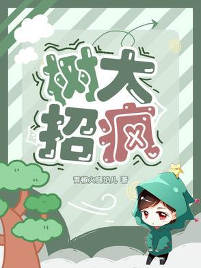 树大招风任贤齐
