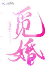 觅婚免费阅读无弹窗全文最新章节