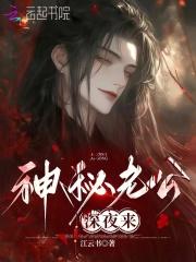神秘老公深夜来完整版免费阅读全文