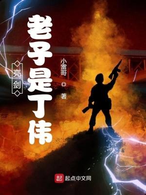 亮剑老子是丁伟 第343章