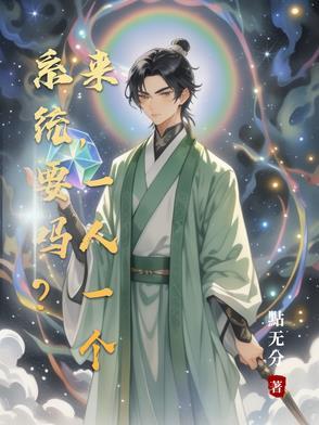 一个系统的