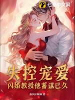 闪婚教授医妻