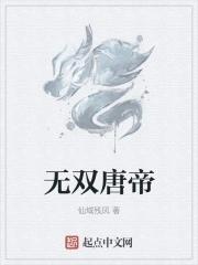大唐无双士