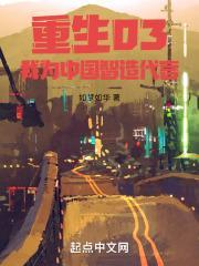 2003从外贸开始无错如梦如华