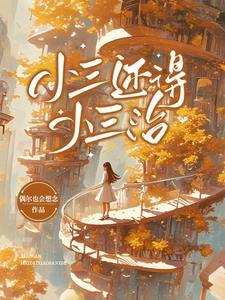 小三有错么