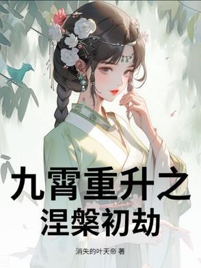 九霄复盘