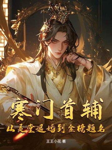 寒门首辅txt