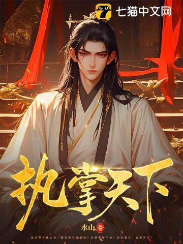 执掌天下公司