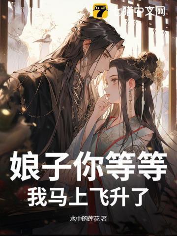 娘子你飞上九重天歌名