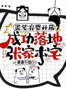 盗笔弃婴开局成功落地张家本宅免费阅读