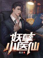 妖孽小医仙全集免费阅读