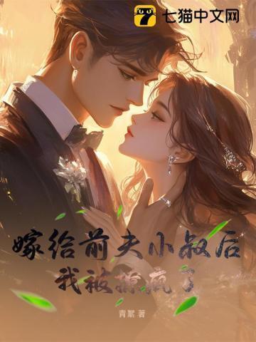 嫁给前夫之后
