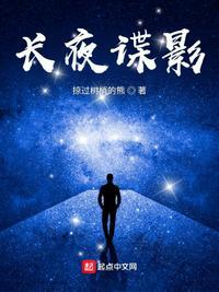 方如今谍战长夜谍影
